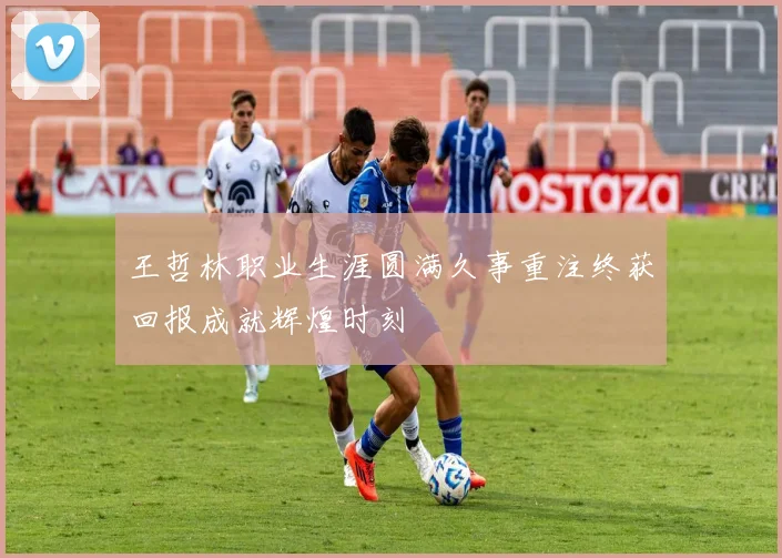 王哲林职业生涯圆满久事重注终获回报成就辉煌时刻